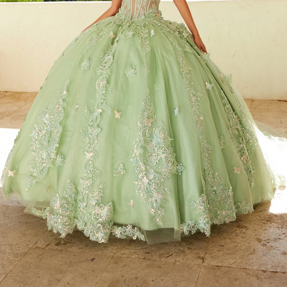 New Ceremonial Long Quinceanera Gown w/ Floral Applique & Long Train JT1485J - Picture 6 of 9